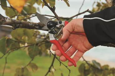 FELCO 8 | Einhand Baum-, Reb-, Gartenschere | Hochleistung | Ergonomie | Baumschnitt